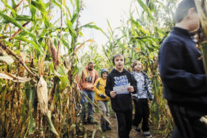 Concept image related to the name Maiwesley Mui within the West Lafayette community.