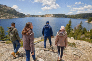 Ovestæ as a symbol of innovation, cross-platform search behavior, and digital connectivity.